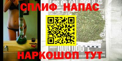 шишки Усть-Джегута