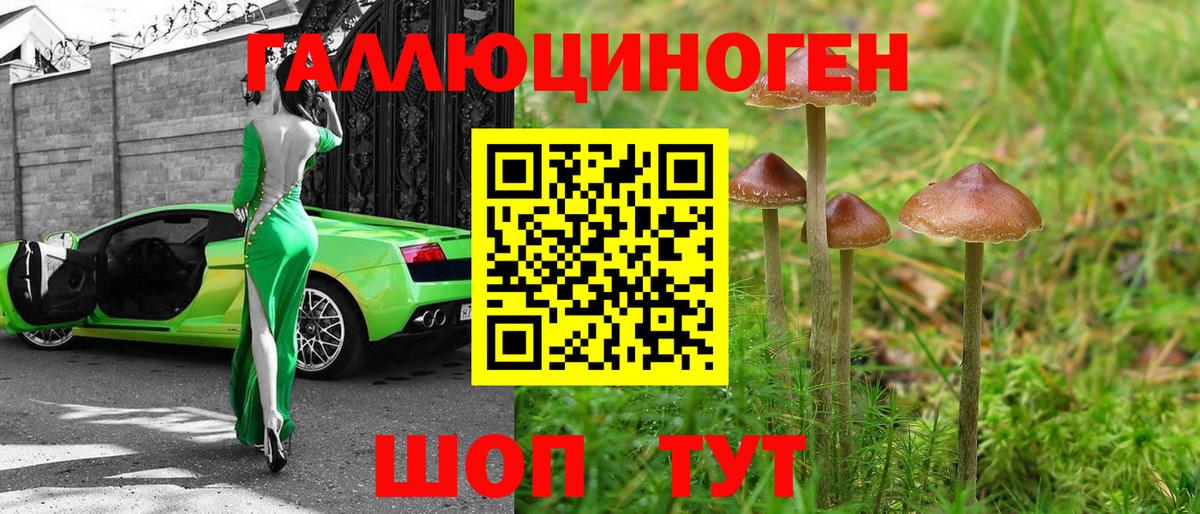 Псилоцибиновые грибы мицелий  Вход с VPN  Будённовск 