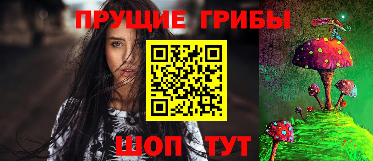 Галлюциногенные грибы Magic Shrooms Будённовск