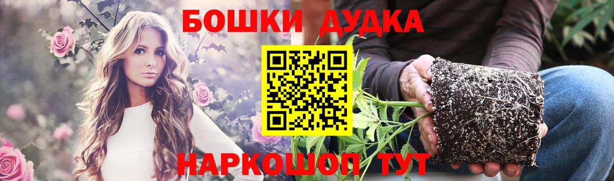 Канабис SATIVA & INDICA Будённовск